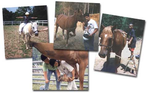 Young people learn from their mounts.