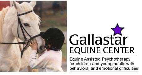 Gallastar Equine Center