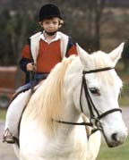 On horseback
