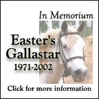 In Memory of Star
