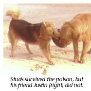 Studs and Justin